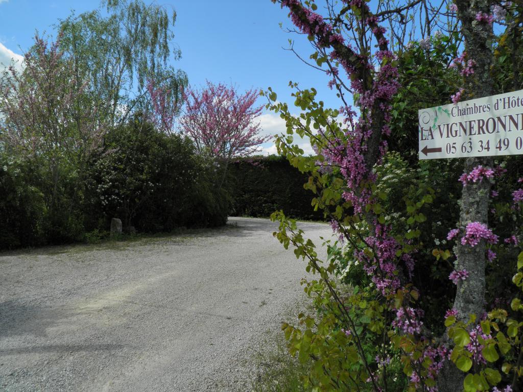 Chambres D'Hotes La Vigneronne Senouillac Esterno foto